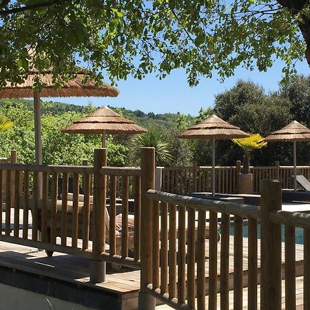 普罗旺斯地区阿莱马尼 La Maison Des Collines酒店 外观 照片